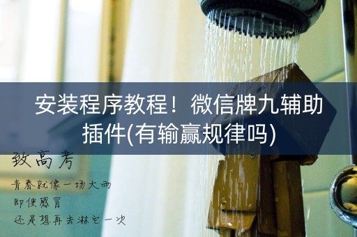 安装程序教程！微信牌九辅助插件(有输赢规律吗)