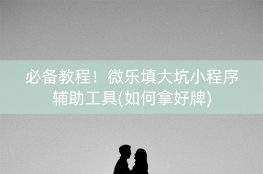 必备教程！微乐填大坑小程序辅助工具(如何拿好牌)