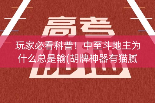 玩家必看科普！中至斗地主为什么总是输(胡牌神器有猫腻吗)