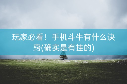 玩家必看！手机斗牛有什么诀窍(确实是有挂的)
