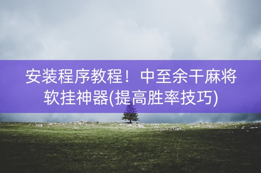 安装程序教程！中至余干麻将软挂神器(提高胜率技巧)