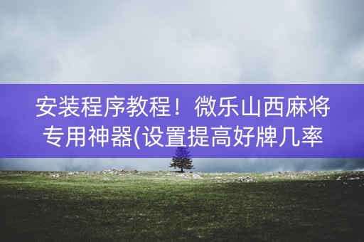 安装程序教程！微乐山西麻将专用神器(设置提高好牌几率)