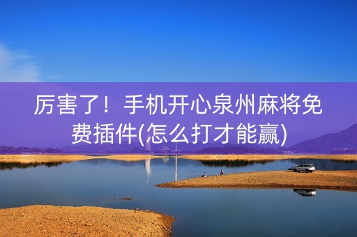 厉害了！手机开心泉州麻将免费插件(怎么打才能赢)