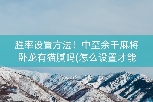 胜率设置方法！中至余干麻将卧龙有猫腻吗(怎么设置才能赢)