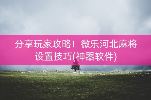 分享玩家攻略！微乐河北麻将设置技巧(神器软件)