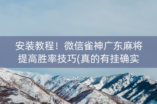 安装教程！微信雀神广东麻将提高胜率技巧(真的有挂确实有挂)