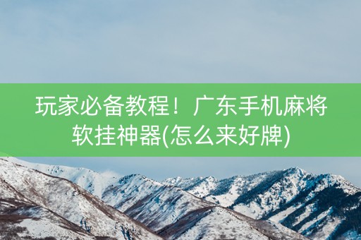 玩家必备教程！广东手机麻将软挂神器(怎么来好牌)