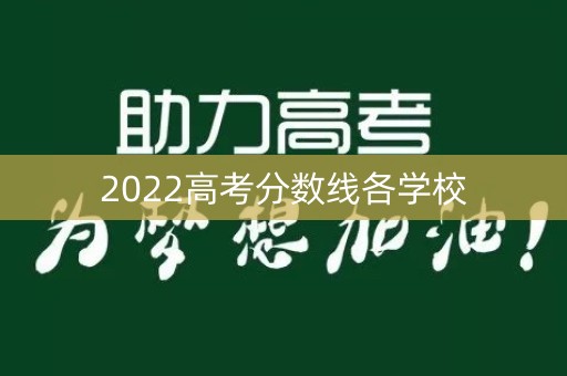 2022高考分数线各学校