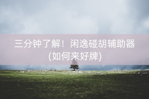 三分钟了解！闲逸碰胡辅助器(如何来好牌)