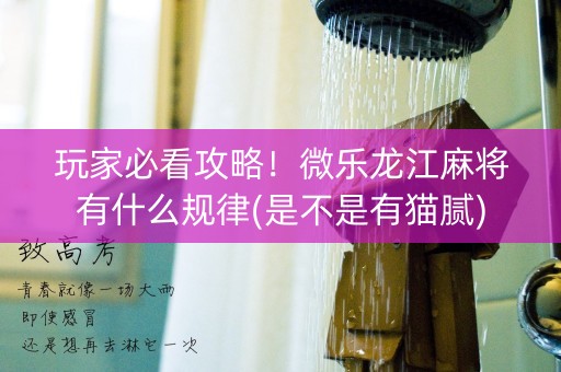 玩家必看攻略！微乐龙江麻将有什么规律(是不是有猫腻)