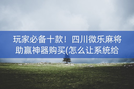 玩家必备十款！四川微乐麻将助赢神器购买(怎么让系统给好牌)