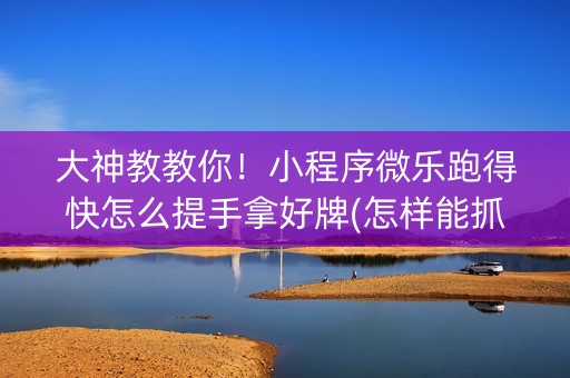 大神教教你！小程序微乐跑得快怎么提手拿好牌(怎样能抓到好牌)
