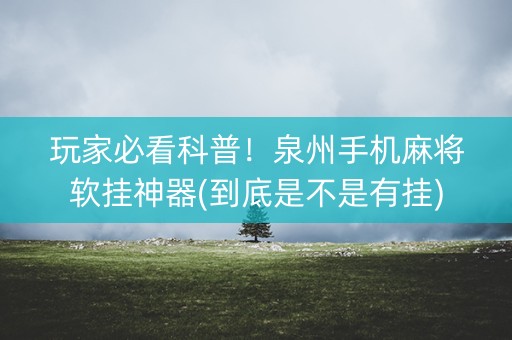 玩家必看科普！泉州手机麻将软挂神器(到底是不是有挂)