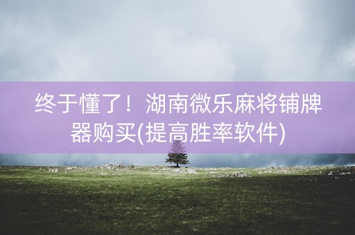 终于懂了！湖南微乐麻将铺牌器购买(提高胜率软件)