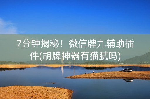 7分钟揭秘！微信牌九辅助插件(胡牌神器有猫腻吗)