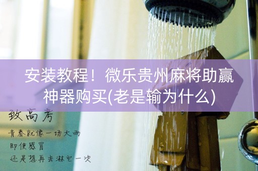 安装教程！微乐贵州麻将助赢神器购买(老是输为什么)