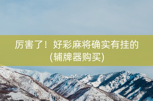 厉害了！好彩麻将确实有挂的(辅牌器购买)
