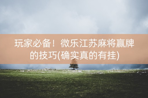 玩家必备！微乐江苏麻将赢牌的技巧(确实真的有挂)
