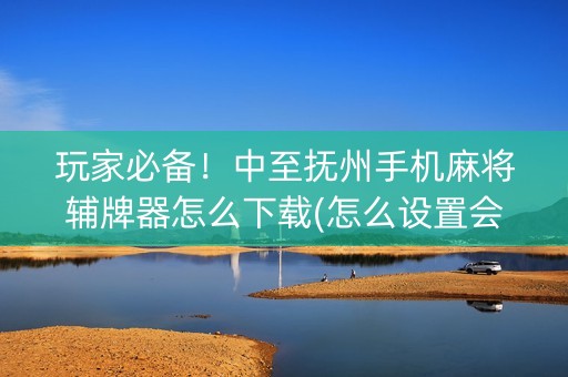 玩家必备！中至抚州手机麻将辅牌器怎么下载(怎么设置会赢)