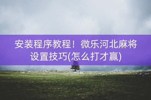 安装程序教程！微乐河北麻将设置技巧(怎么打才赢)