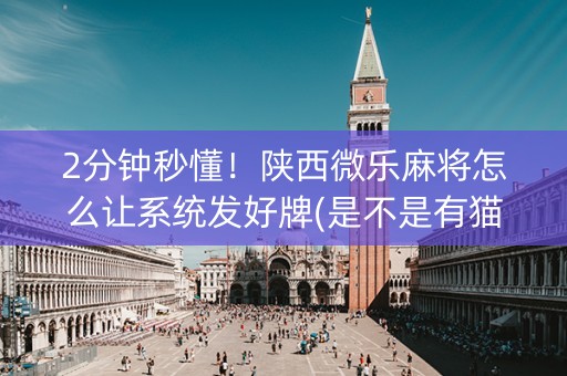 2分钟秒懂！陕西微乐麻将怎么让系统发好牌(是不是有猫腻)