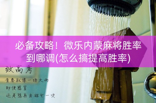 必备攻略！微乐内蒙麻将胜率到哪调(怎么搞提高胜率)