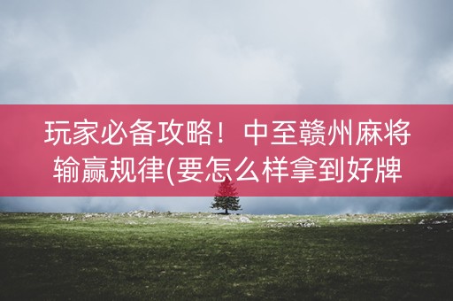 玩家必备攻略！中至赣州麻将输赢规律(要怎么样拿到好牌)