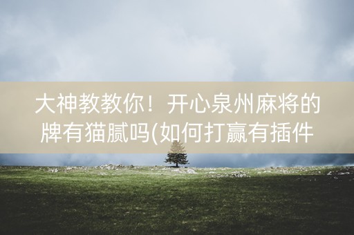 大神教教你！开心泉州麻将的牌有猫腻吗(如何打赢有插件吗)