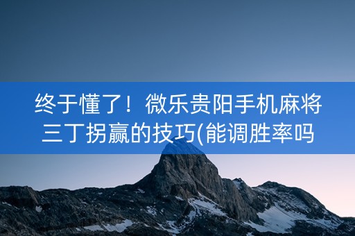 终于懂了！微乐贵阳手机麻将三丁拐赢的技巧(能调胜率吗)