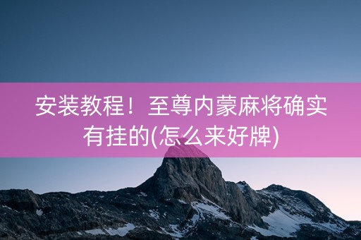 安装教程！至尊内蒙麻将确实有挂的(怎么来好牌)