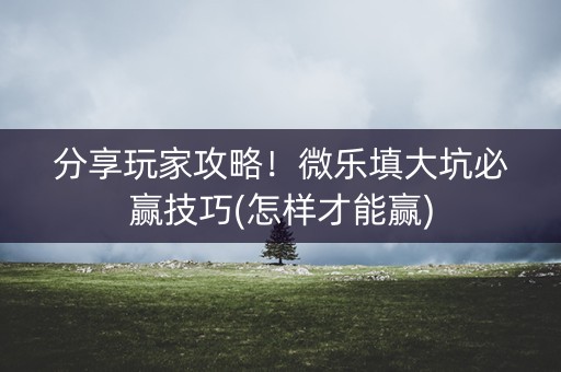 分享玩家攻略！微乐填大坑必赢技巧(怎样才能赢)