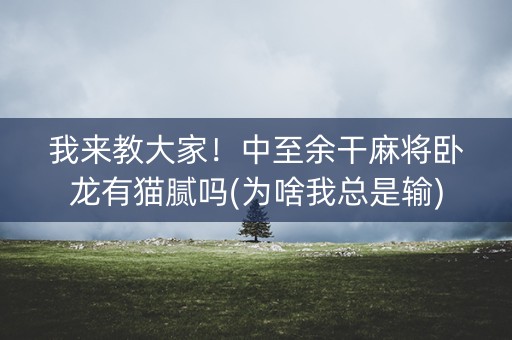 我来教大家！中至余干麻将卧龙有猫腻吗(为啥我总是输)