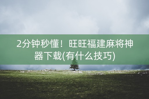2分钟秒懂！旺旺福建麻将神器下载(有什么技巧)