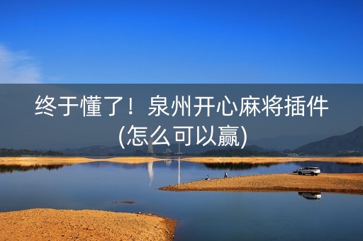 终于懂了！泉州开心麻将插件(怎么可以赢)