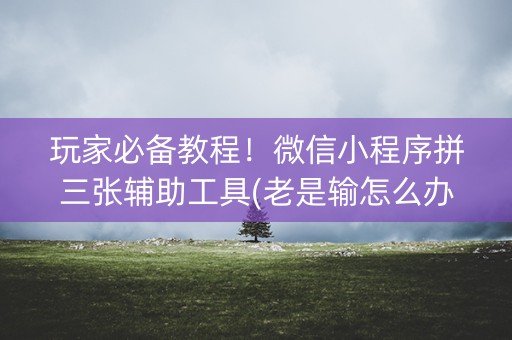 玩家必备教程！微信小程序拼三张辅助工具(老是输怎么办)