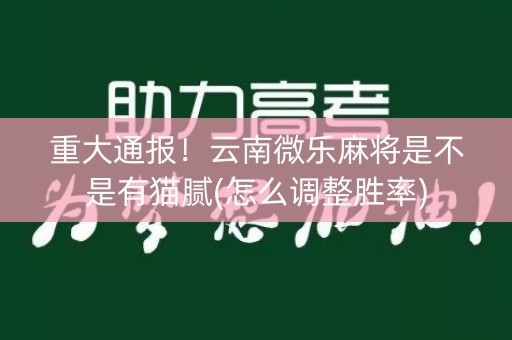 重大通报！云南微乐麻将是不是有猫腻(怎么调整胜率)