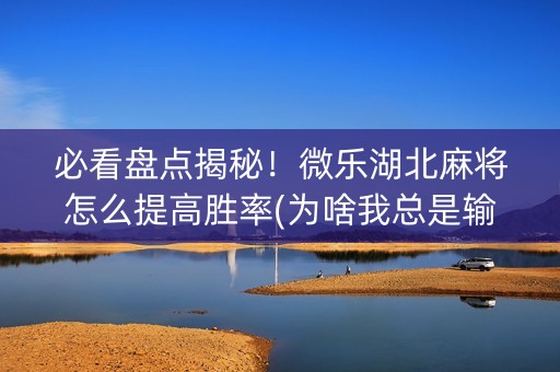 必看盘点揭秘！微乐湖北麻将怎么提高胜率(为啥我总是输)