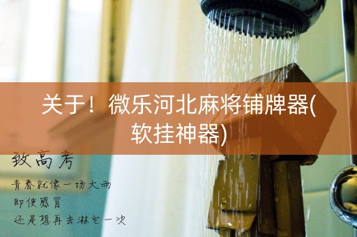 关于！微乐河北麻将铺牌器(软挂神器)