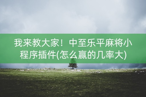 我来教大家！中至乐平麻将小程序插件(怎么赢的几率大)
