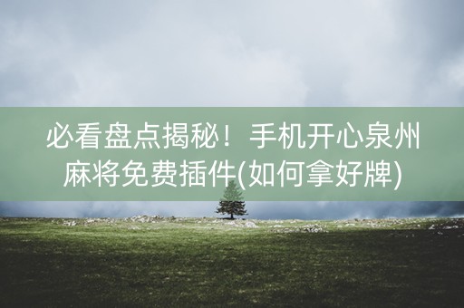 必看盘点揭秘！手机开心泉州麻将免费插件(如何拿好牌)
