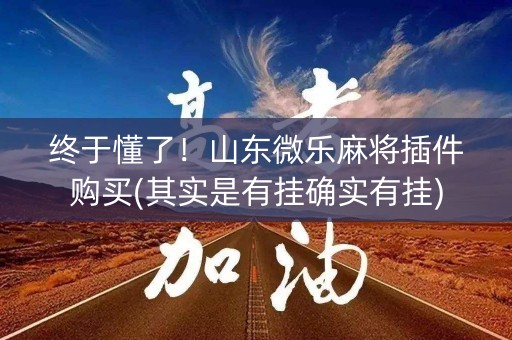 终于懂了！山东微乐麻将插件购买(其实是有挂确实有挂)