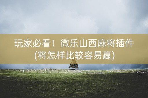 玩家必看！微乐山西麻将插件(将怎样比较容易赢)