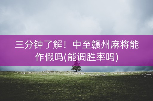 三分钟了解！中至赣州麻将能作假吗(能调胜率吗)