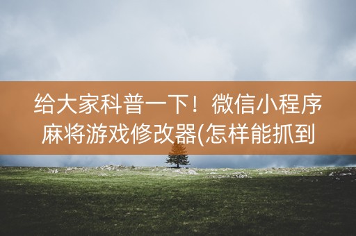 给大家科普一下！微信小程序麻将游戏修改器(怎样能抓到好牌)