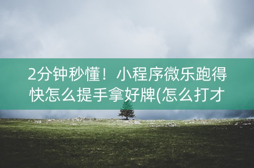 2分钟秒懂！小程序微乐跑得快怎么提手拿好牌(怎么打才会赢)