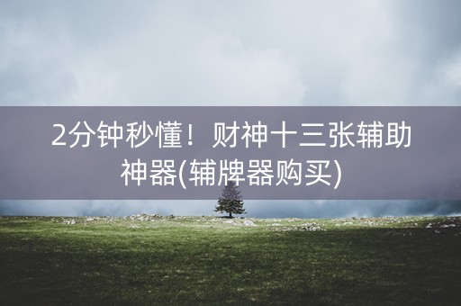 2分钟秒懂！财神十三张辅助神器(辅牌器购买)