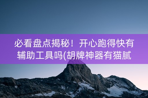 必看盘点揭秘！开心跑得快有辅助工具吗(胡牌神器有猫腻吗)