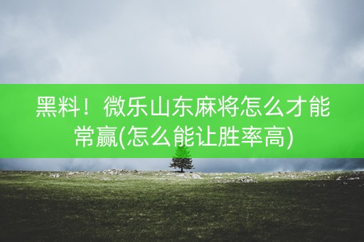 黑料！微乐山东麻将怎么才能常赢(怎么能让胜率高)