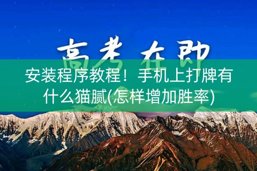 安装程序教程！手机上打牌有什么猫腻(怎样增加胜率)