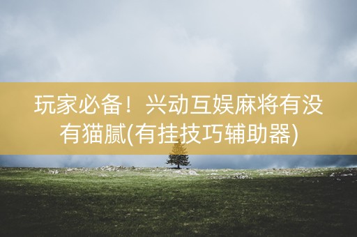 玩家必备！兴动互娱麻将有没有猫腻(有挂技巧辅助器)